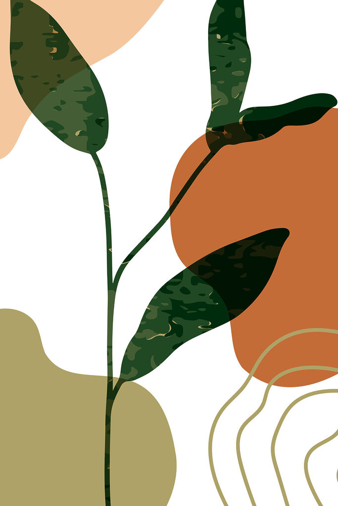 Εικόνα #1 απόDumitru M.