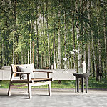 Ταπετσαρίες Ομάδα δέντρων με πράσινα φύλλα